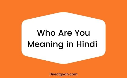 Who Are You In Hindi Meaning 